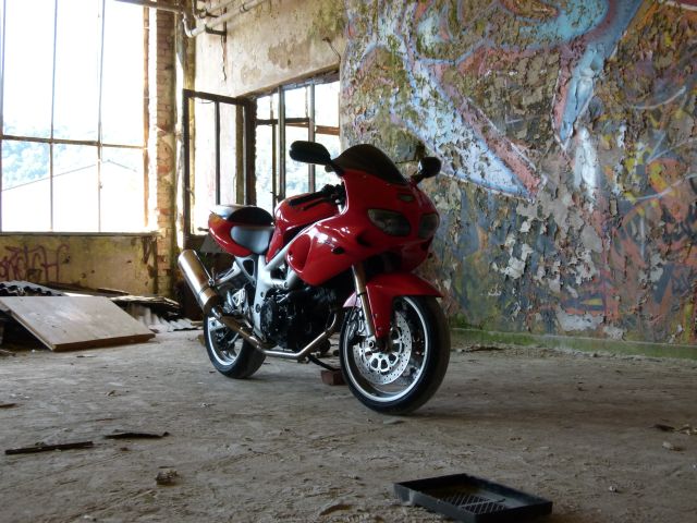 P1050161.JPG
