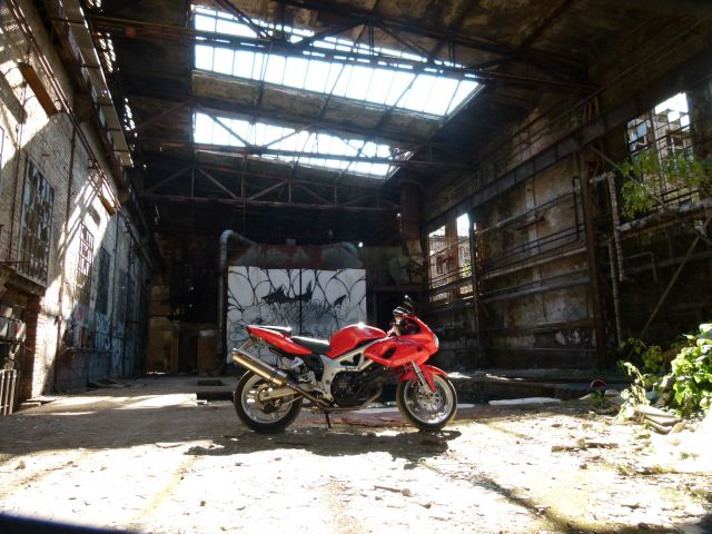 P1050165.JPG