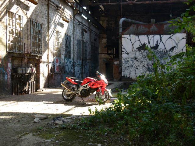 P1050169.JPG