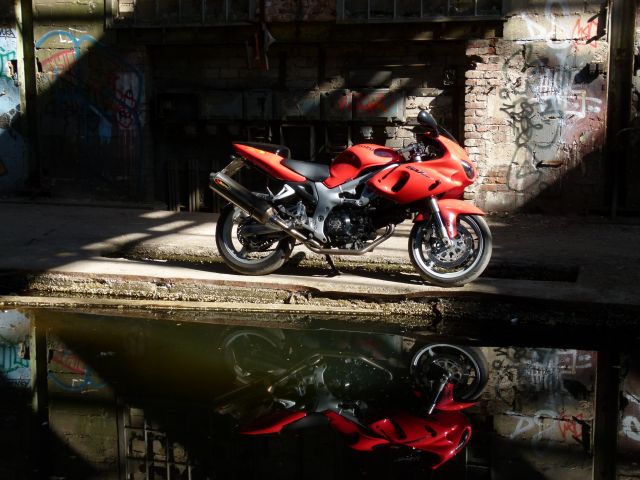 P1050174.JPG