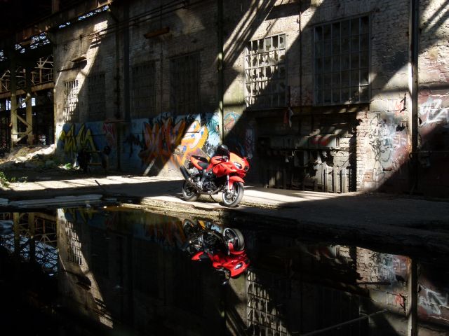 P1050176.JPG
