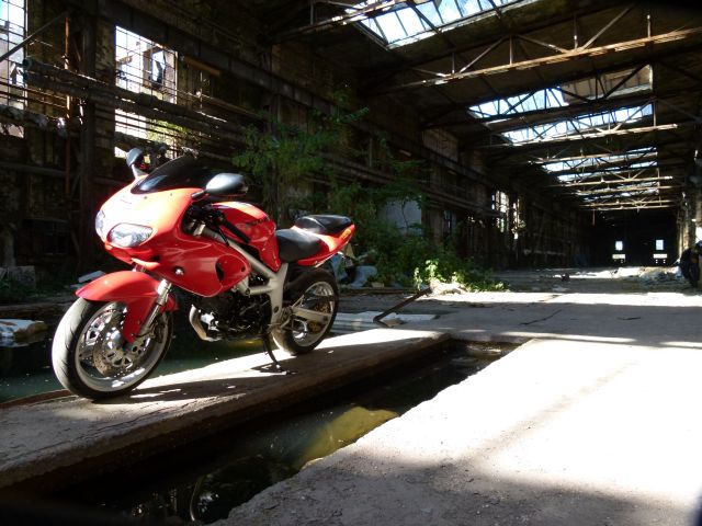 P1050184.JPG