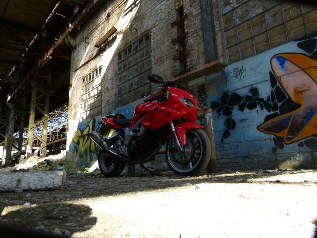 P1050193.JPG