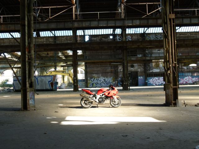 P1050226.JPG