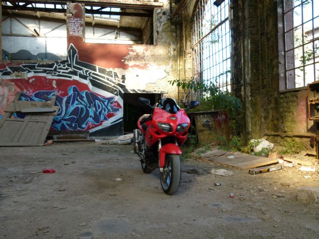 P1050236.JPG