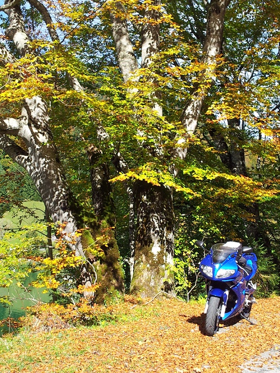 20121006_131106kl.jpg