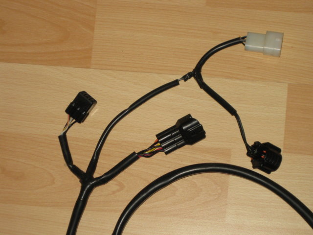 IMG_2482 (FILEminimizer).jpg