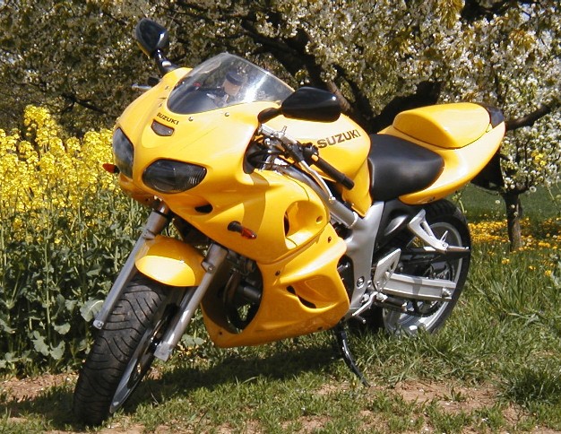 SV 650_klein_01.jpg