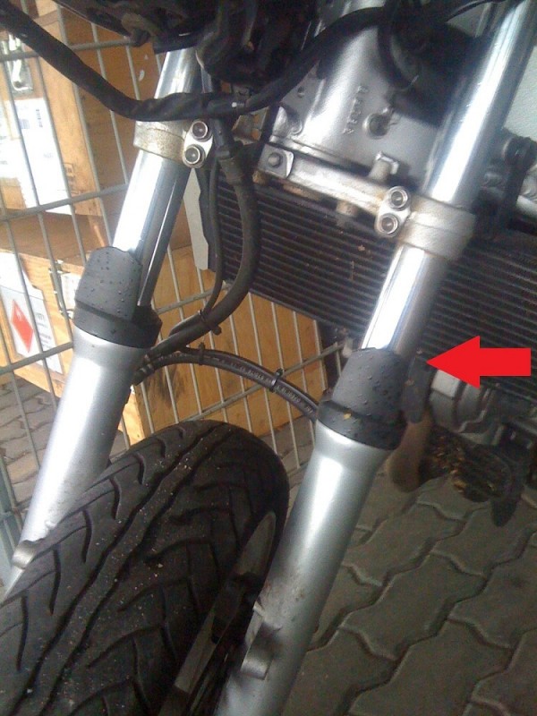 image (3) - Kopie.jpg