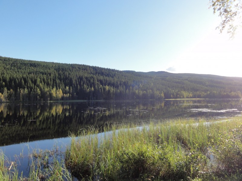 05 Blick über den See.jpg