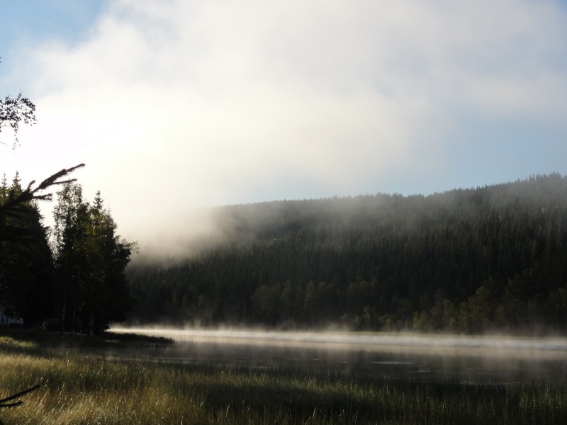 06 Morgennebel.jpg