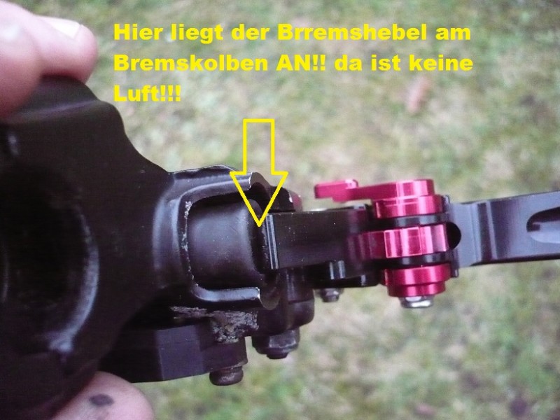 P1080016.JPG
