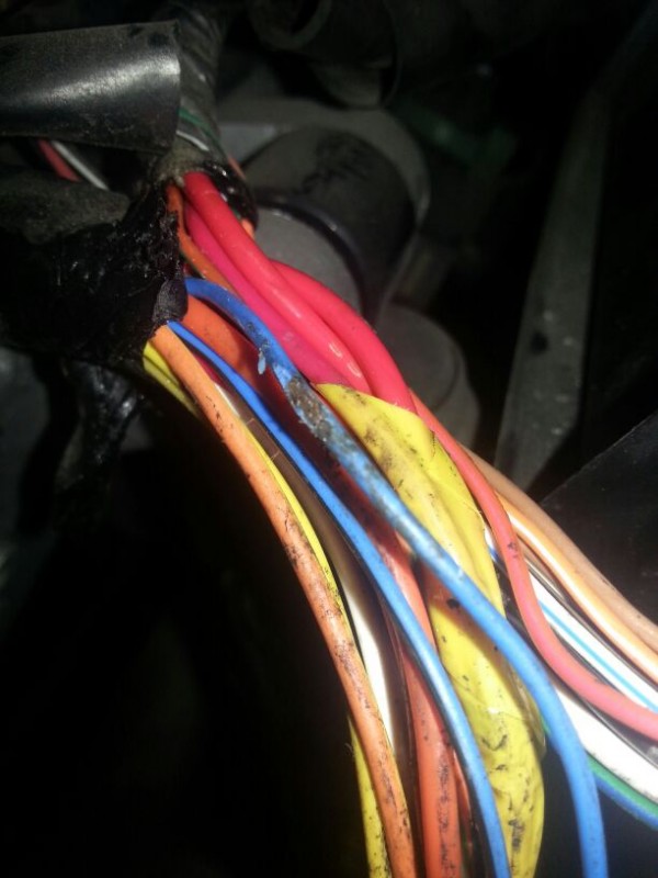 Kabel.jpg