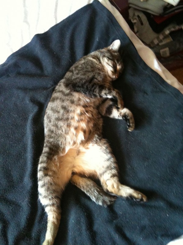 2012-10-16 10.26.50.jpg