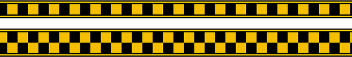 checkerstripe2013.gif