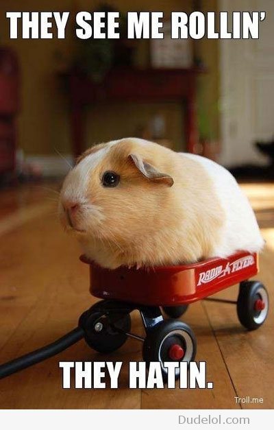 they-see-me-rollin-they-hatin.jpg