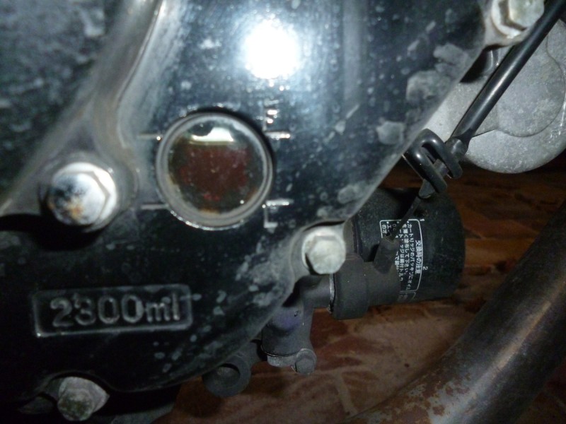 P1010247_k.JPG