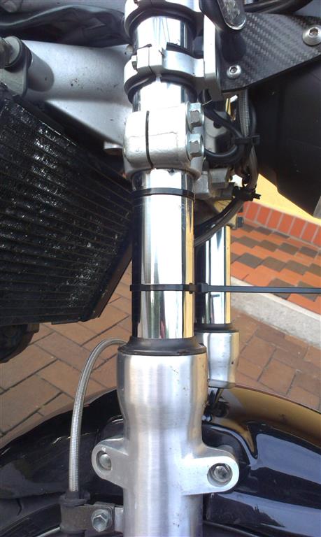 IMAG1195 (Medium).jpg