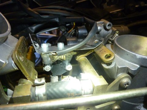 P1060026_web.jpg