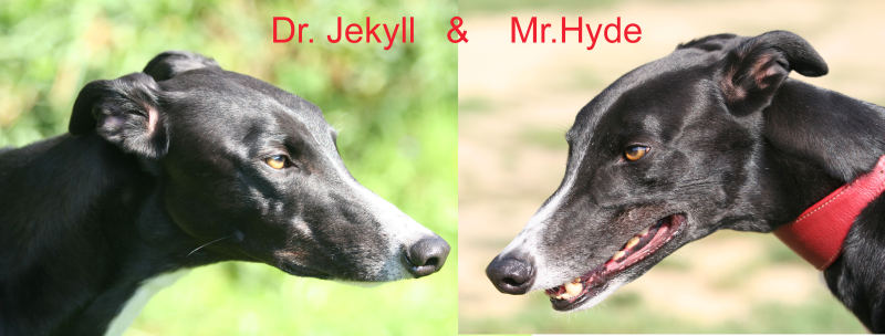jekkyl_hyde_b.jpg