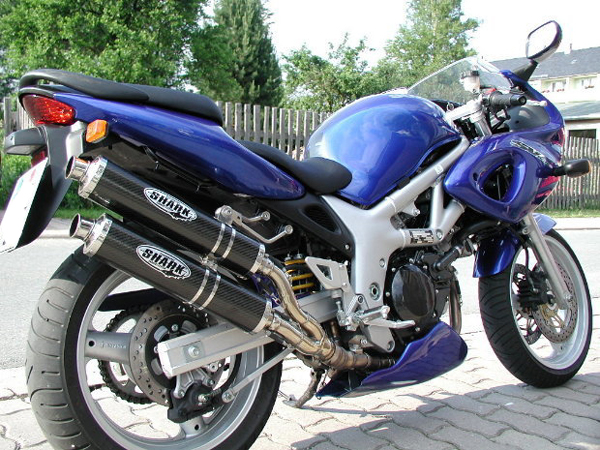 auspuff_sv650sy.jpg