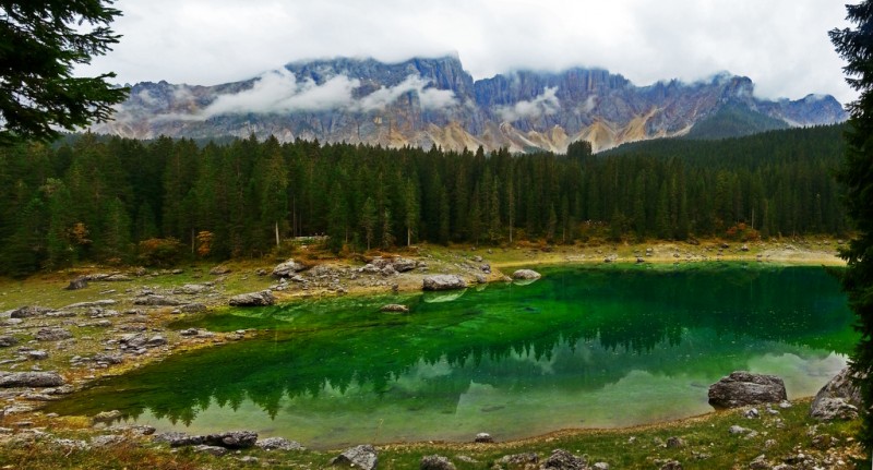carezza3.jpg