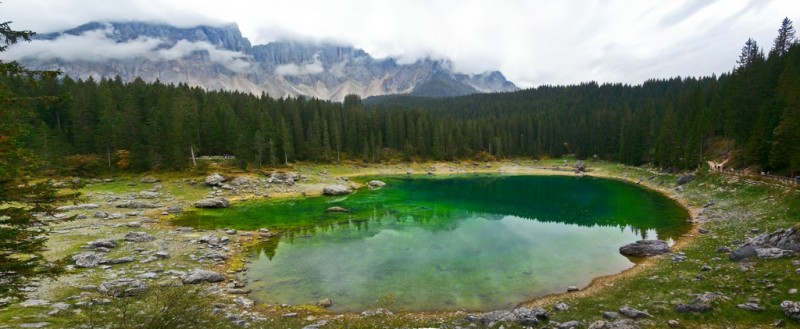 carezza4.jpg