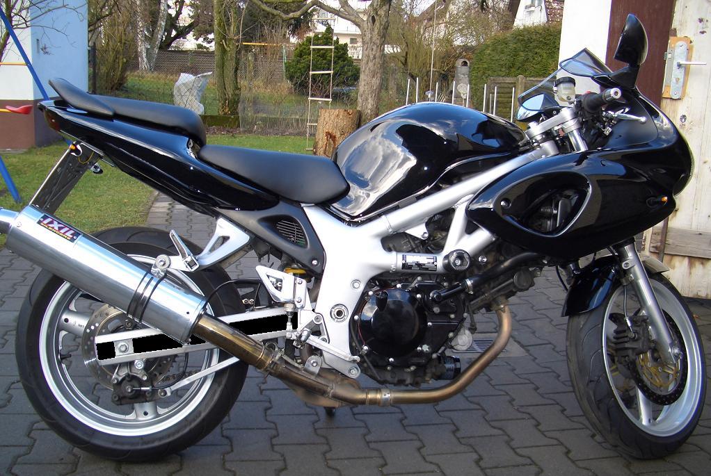 Motorrad Januar 2008 klein (19) Schwinge.JPG