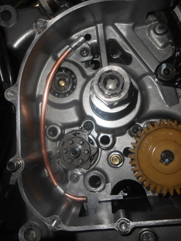 DSCN2295.JPG