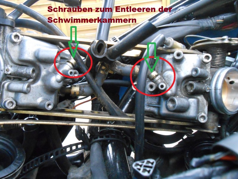 DSCN0656.JPG