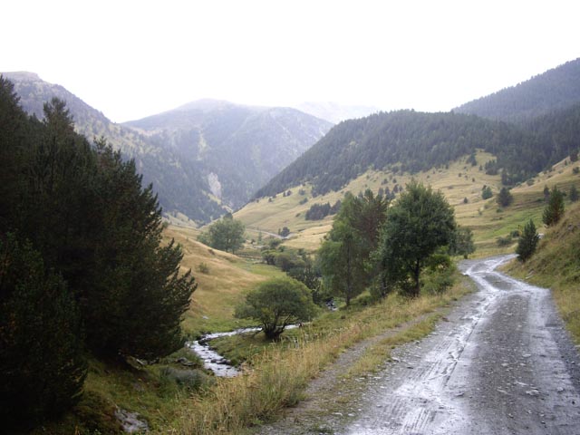 IMGP3231.jpg