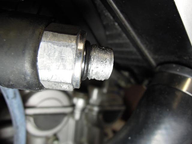 DSCN2436.jpg