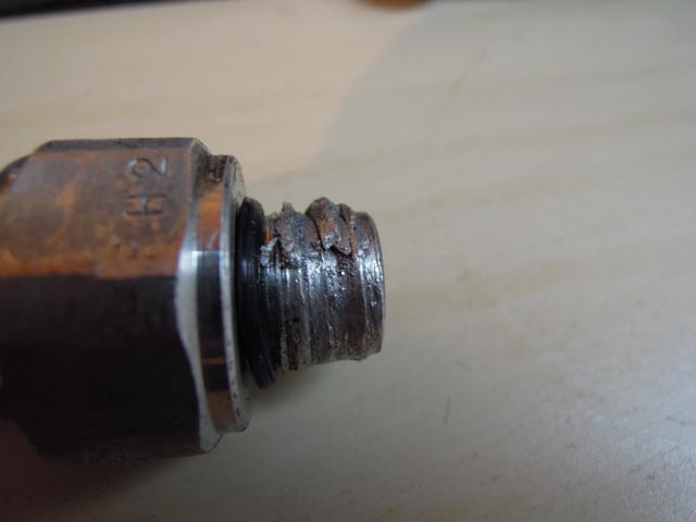 DSCN2441.jpg