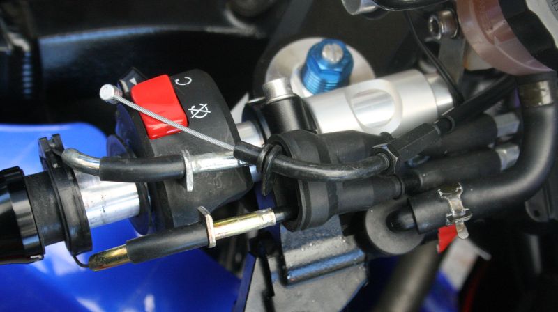 SV a.jpg