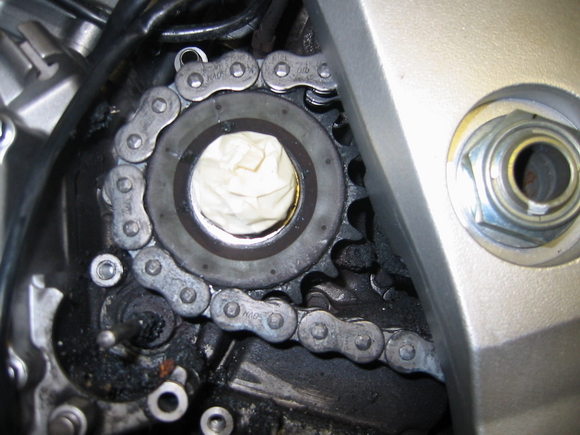 Ritzel_5_SV_24K_WS_IMG-2.JPG