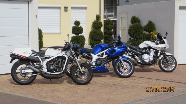 Lokis Bikes web.jpg