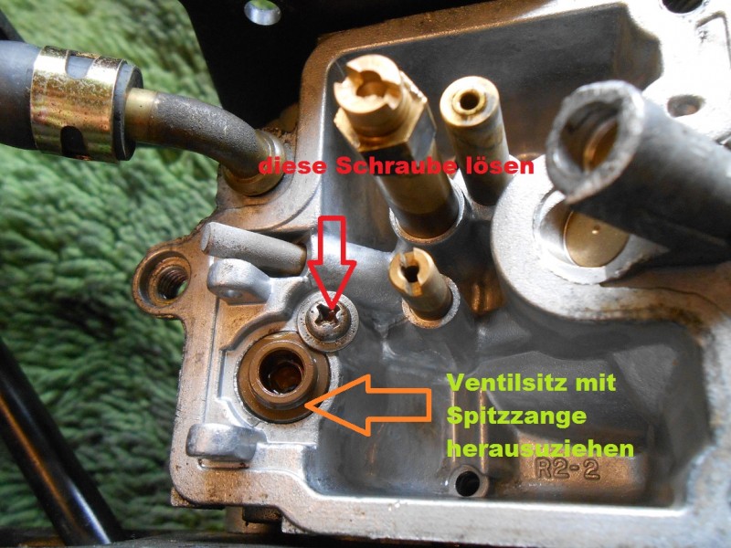 DSCN3712.JPG
