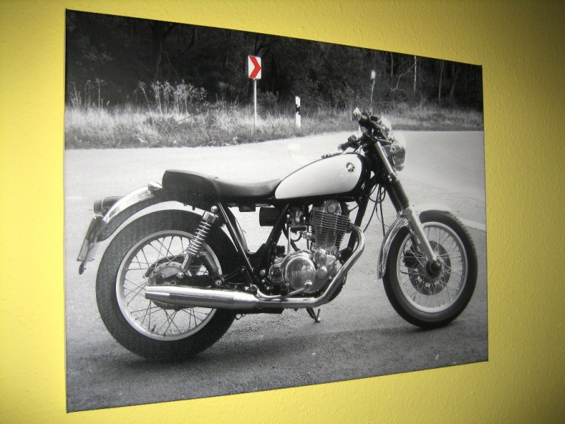 Poster 008.jpg