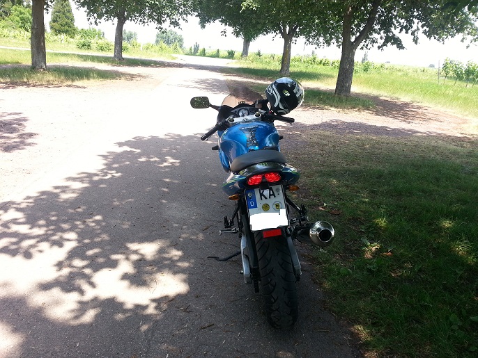 bild2.jpg