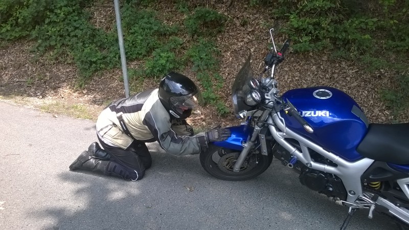 WP_20140727_002.jpg