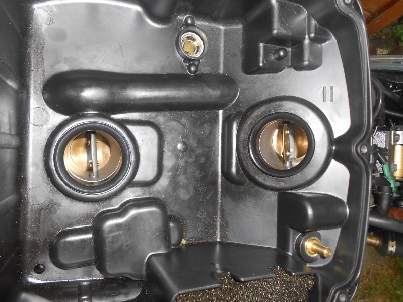 DSCN4565.JPG (438.29 KiB) 1412 mal betrachtet DSCN4565.JPG