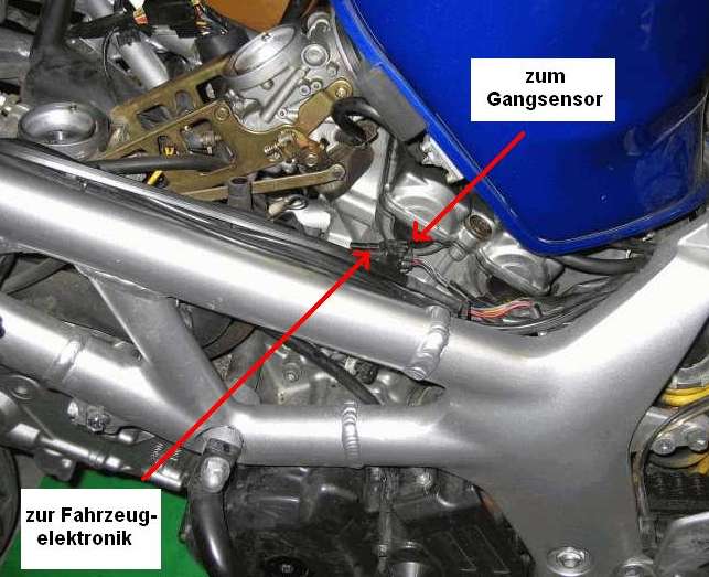 GS-Stecker1.jpg