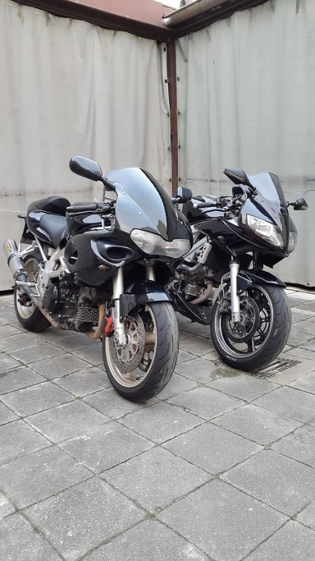 SV-TL.jpg