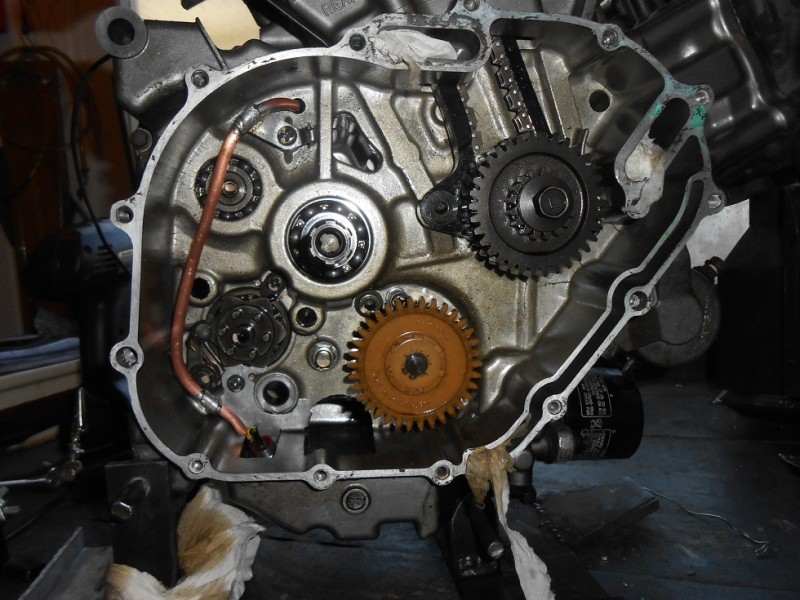 DSCN4805.JPG