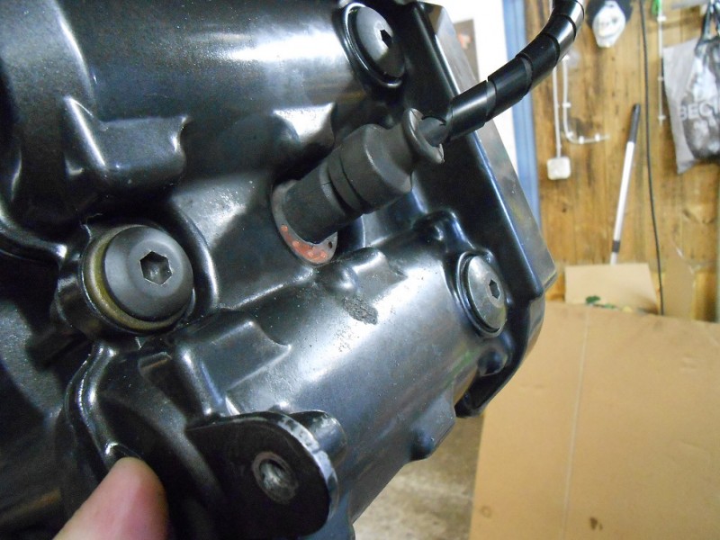 DSCN4879.JPG