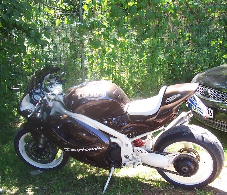 Triumph1.JPG