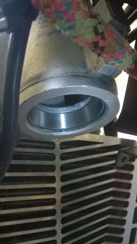 WP_20150316_006.jpg
