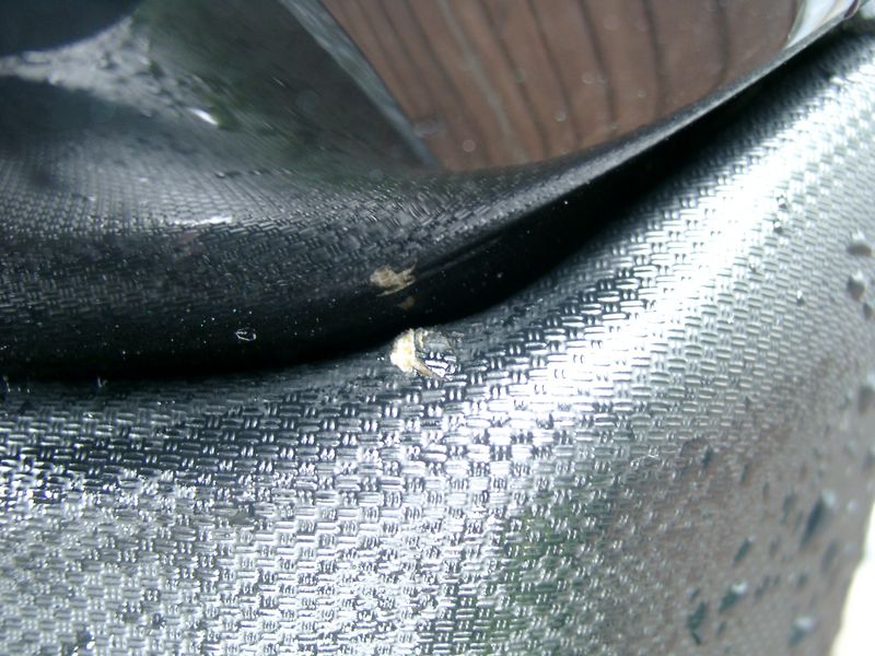 01010679 [800x600].JPG