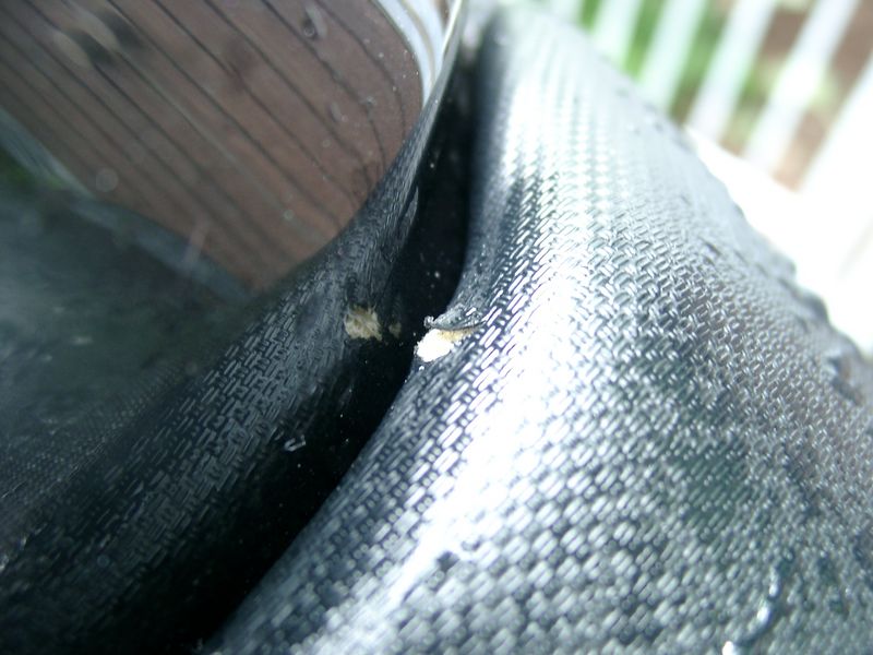 01010678 [800x600].JPG