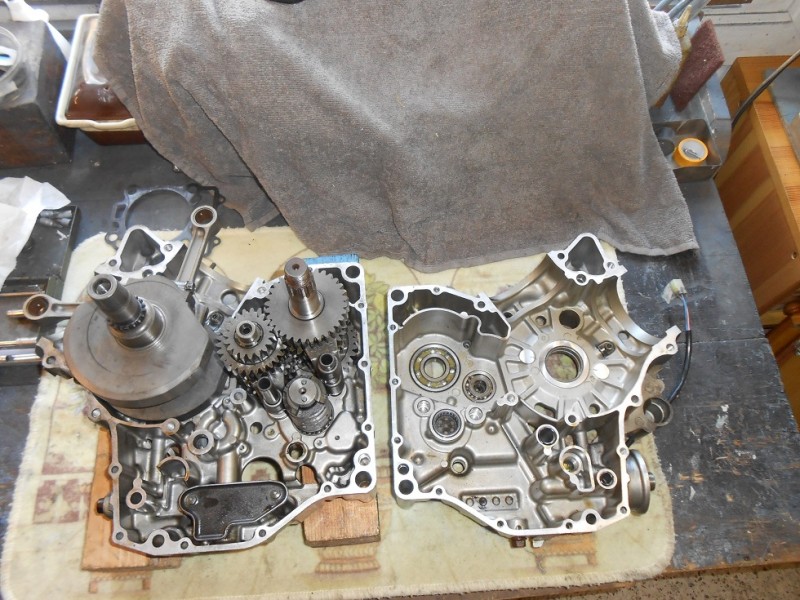 DSCN4923.JPG